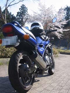 ER20070415