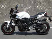 FZ1