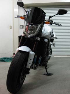 FZ20081230