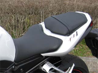 FZ1_20090308