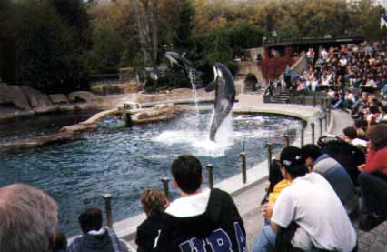 チャチのショー