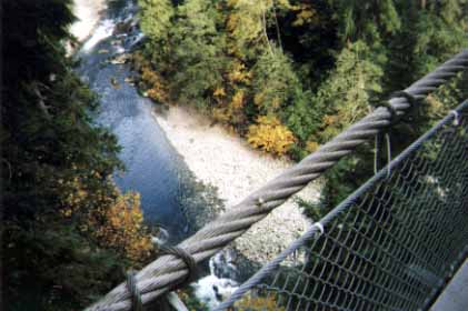 吊り橋の上から